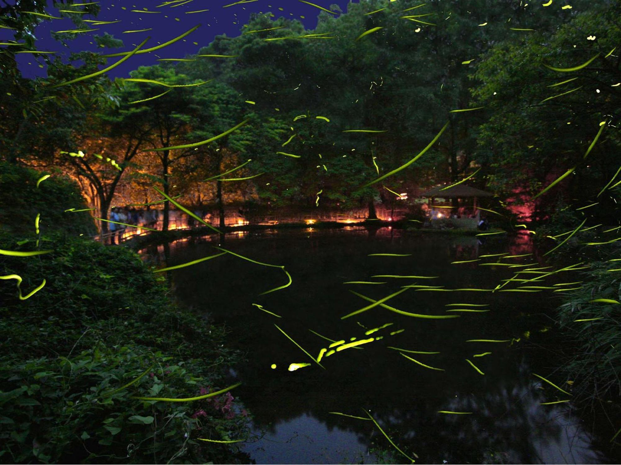 Izu Katase Onsen Ayumitei Fukumatsuso Hotel Higashiizu Luaran gambar